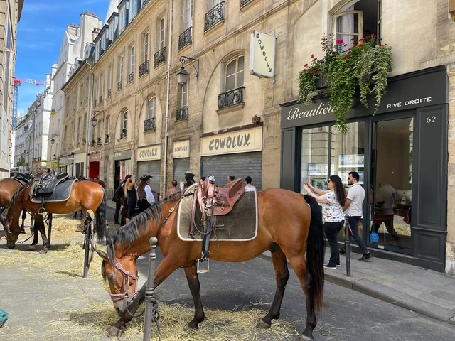 Agence Beaulieu, rive droite — Le Marais, Paris